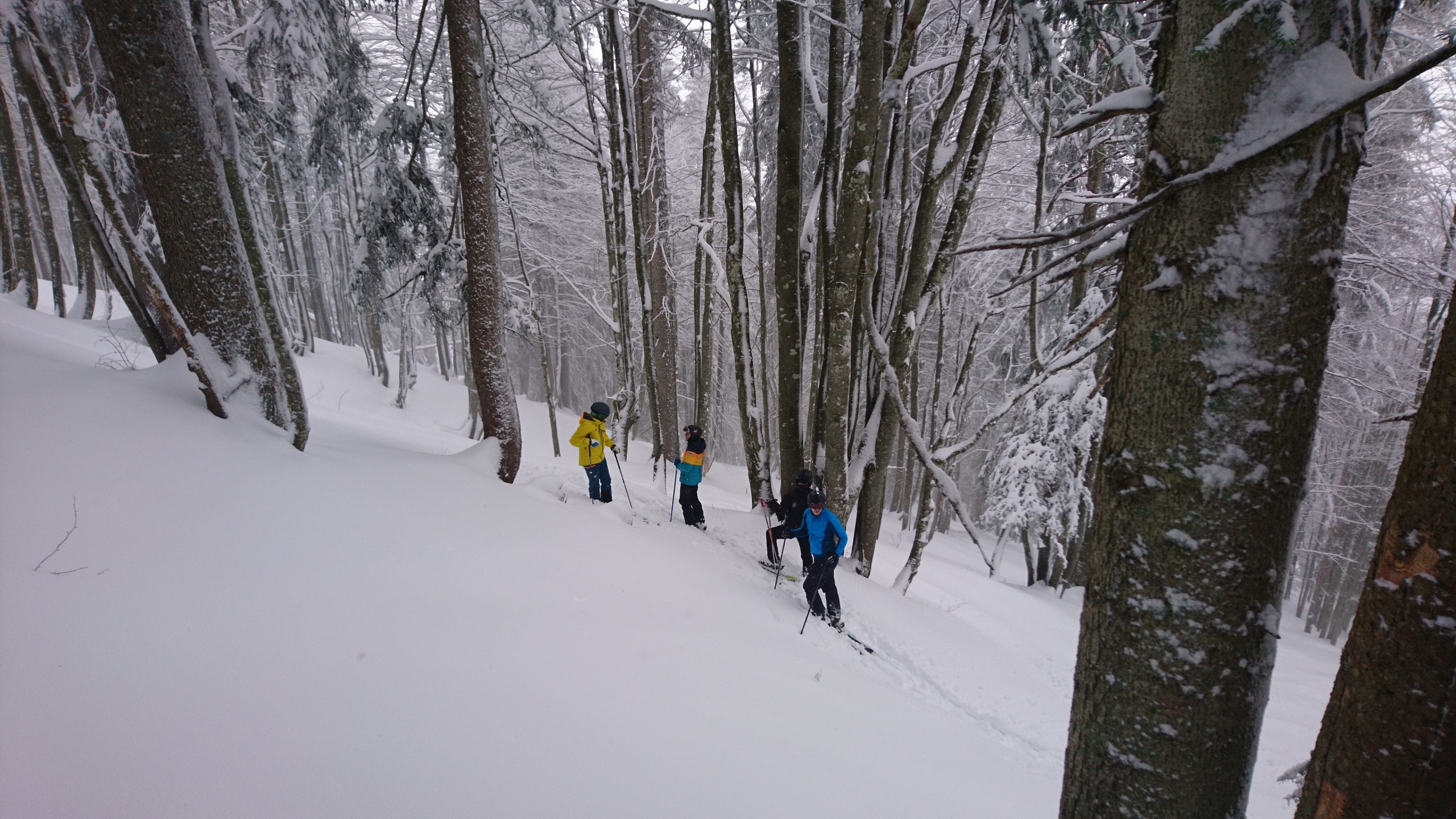 Ab in den Wald: Fichtenslalom mit der Skischule Lüneburg